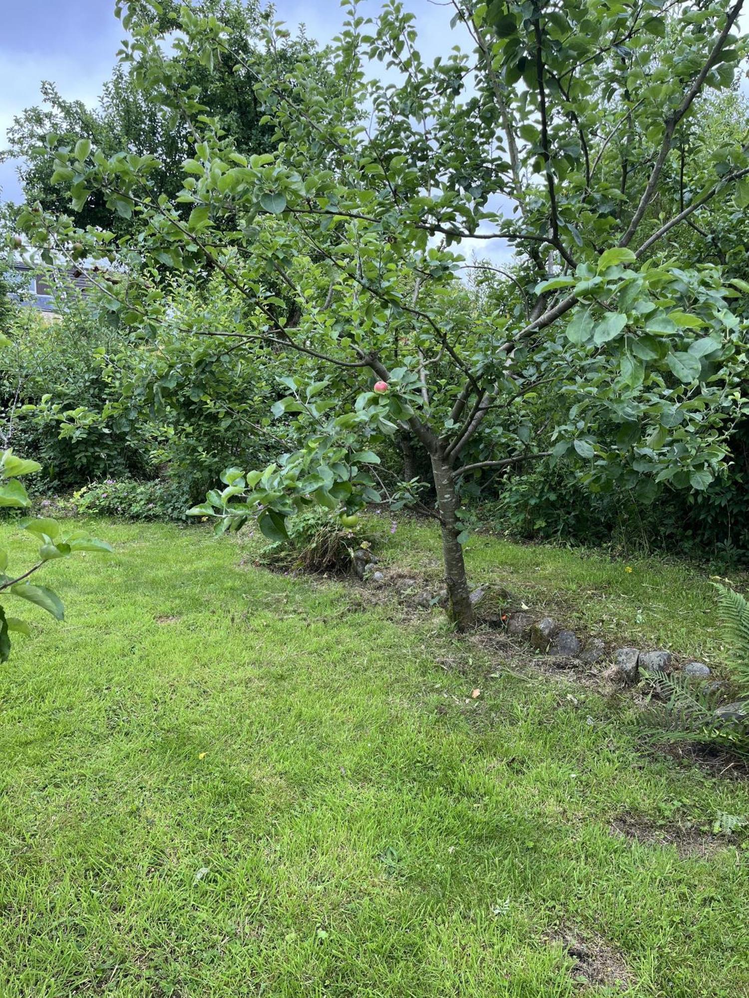 Apple Cottage 牛顿斯图尔特 外观 照片